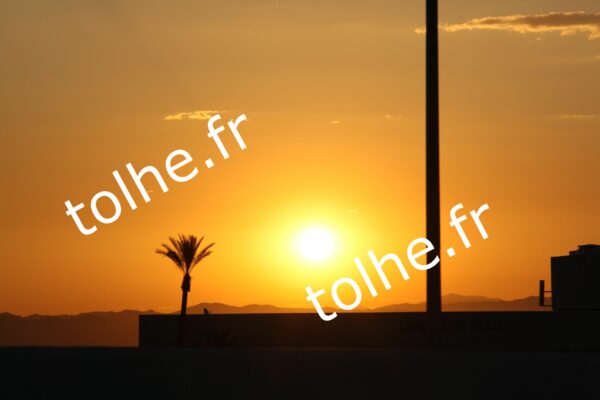 Photo Sunset lover Collection USA 11 – Image 3